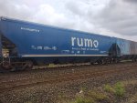 RUMO HTT-352870-7